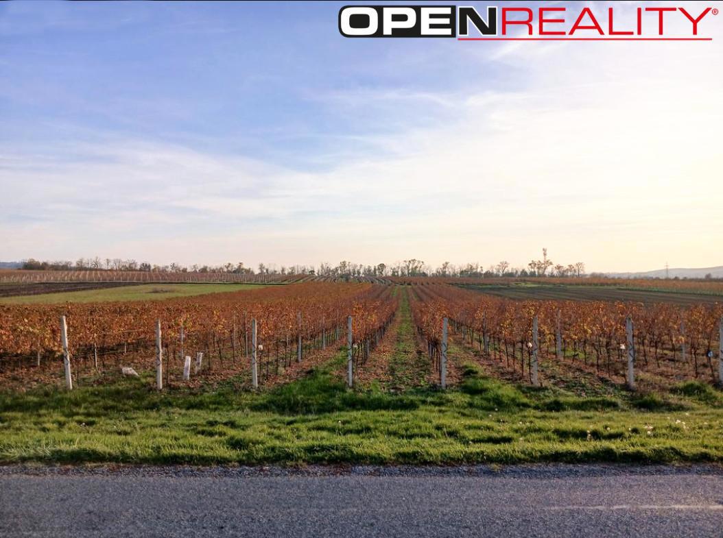 Fotografie 3 - Prodej pozemku · Vinice · 10 519 m²