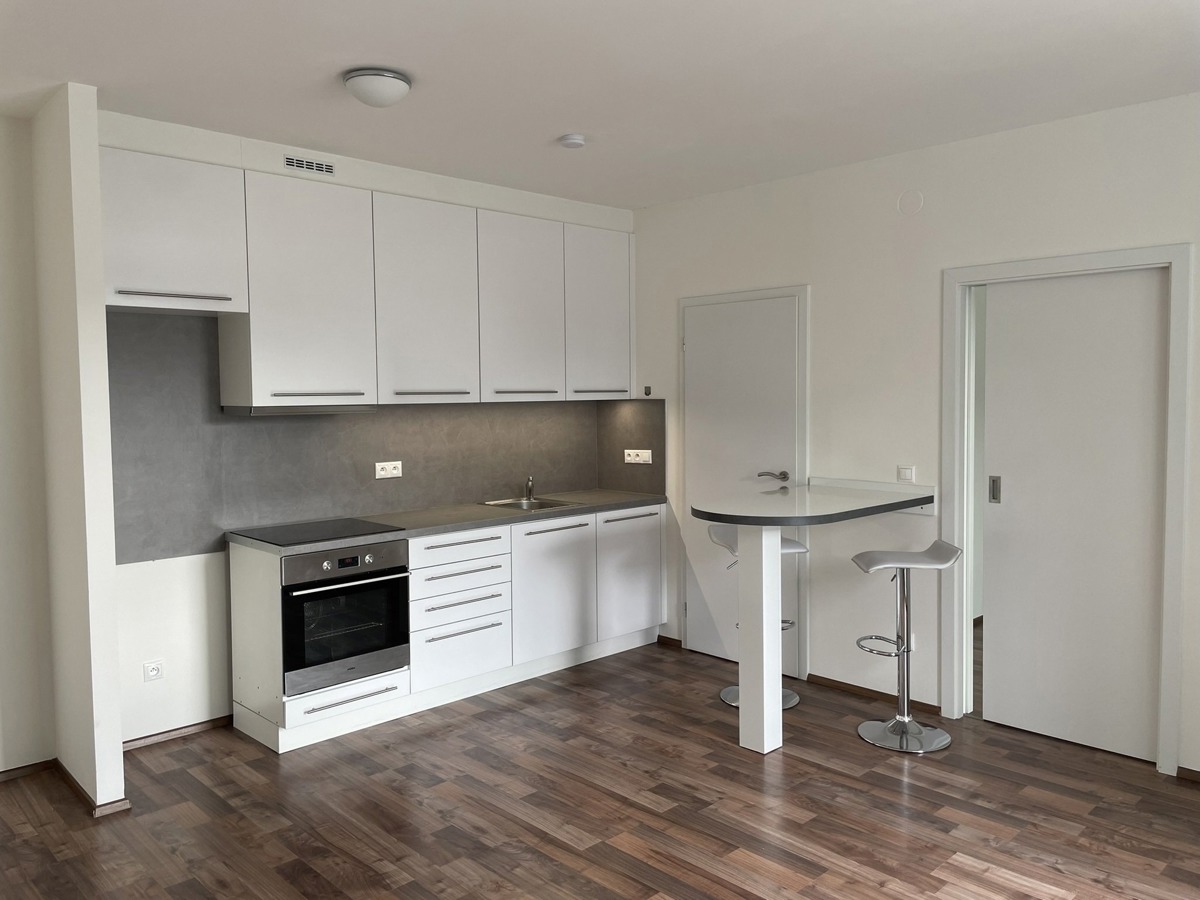Fotografie 1 - Pronájem bytu · 2+kk · 41 m²