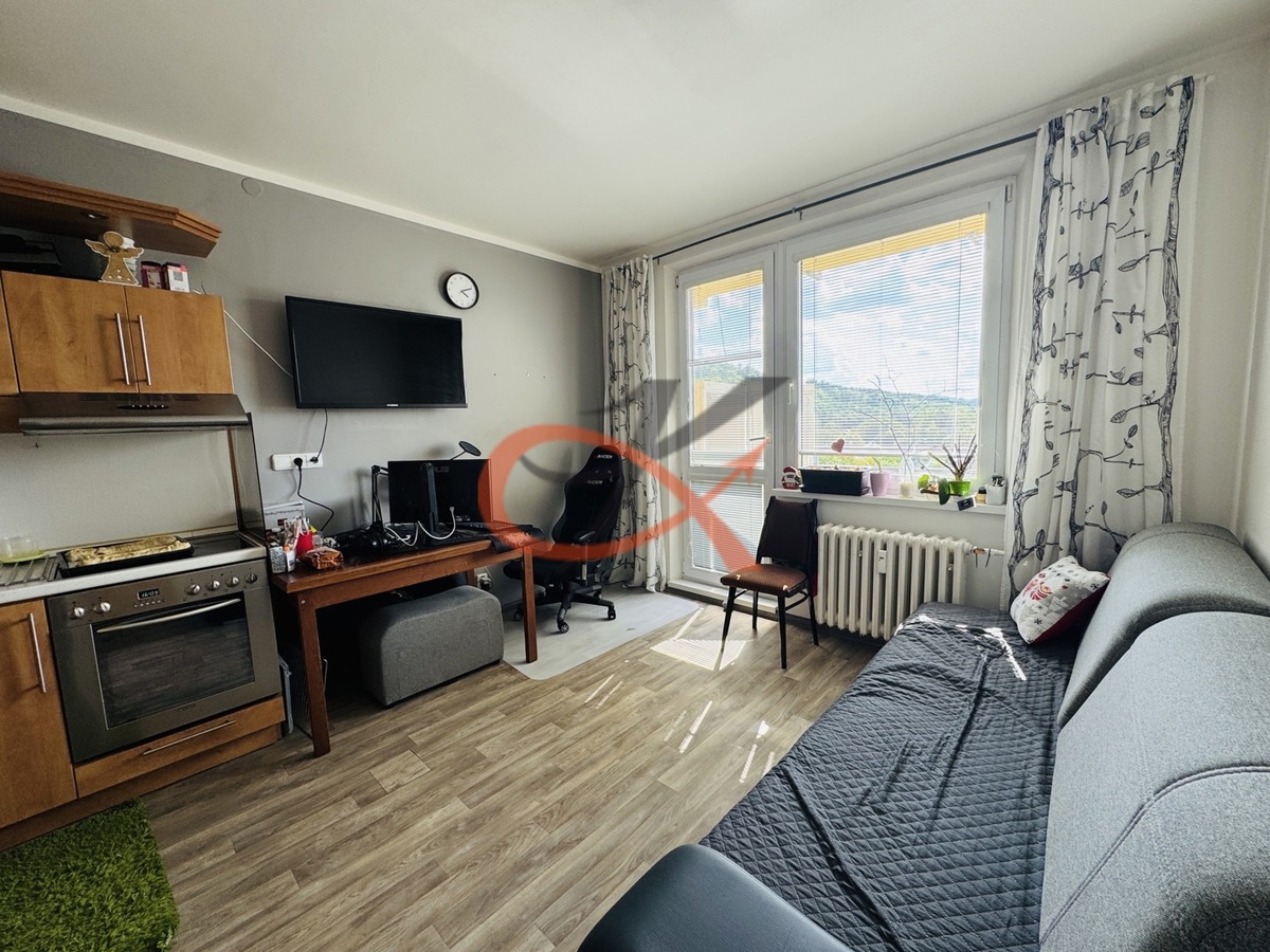Fotografie 3 - Pronájem bytu · 2+kk · 41 m²