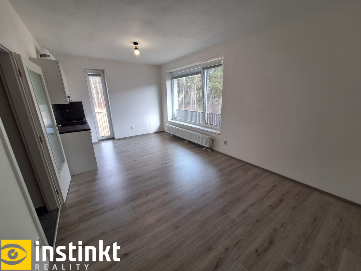 Photo 4 - Apartment for rent · 1+kk · 31 m²