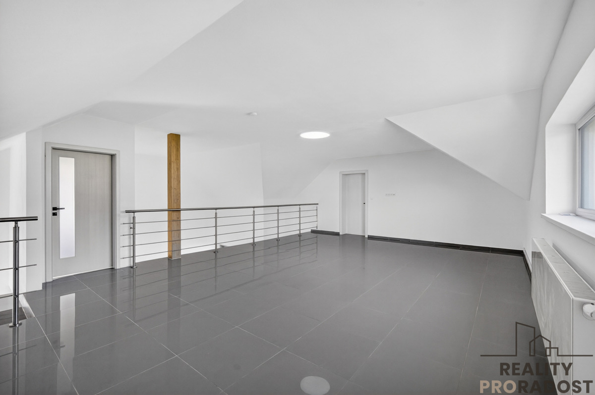 Fotografie 4 - Prodej bytu · 5+kk · 224 m²