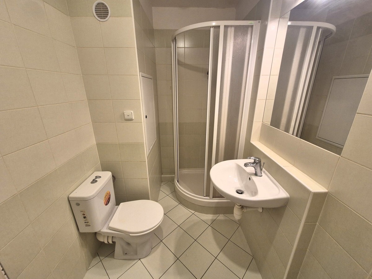 Hình ảnh 2 - Căn hộ cho thuê · 1+kk · 20 m²