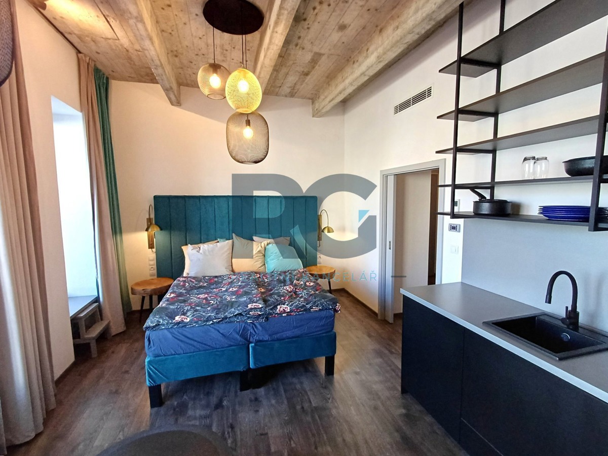 Fotografie 4 - Pronájem bytu · 1+kk · 41 m²