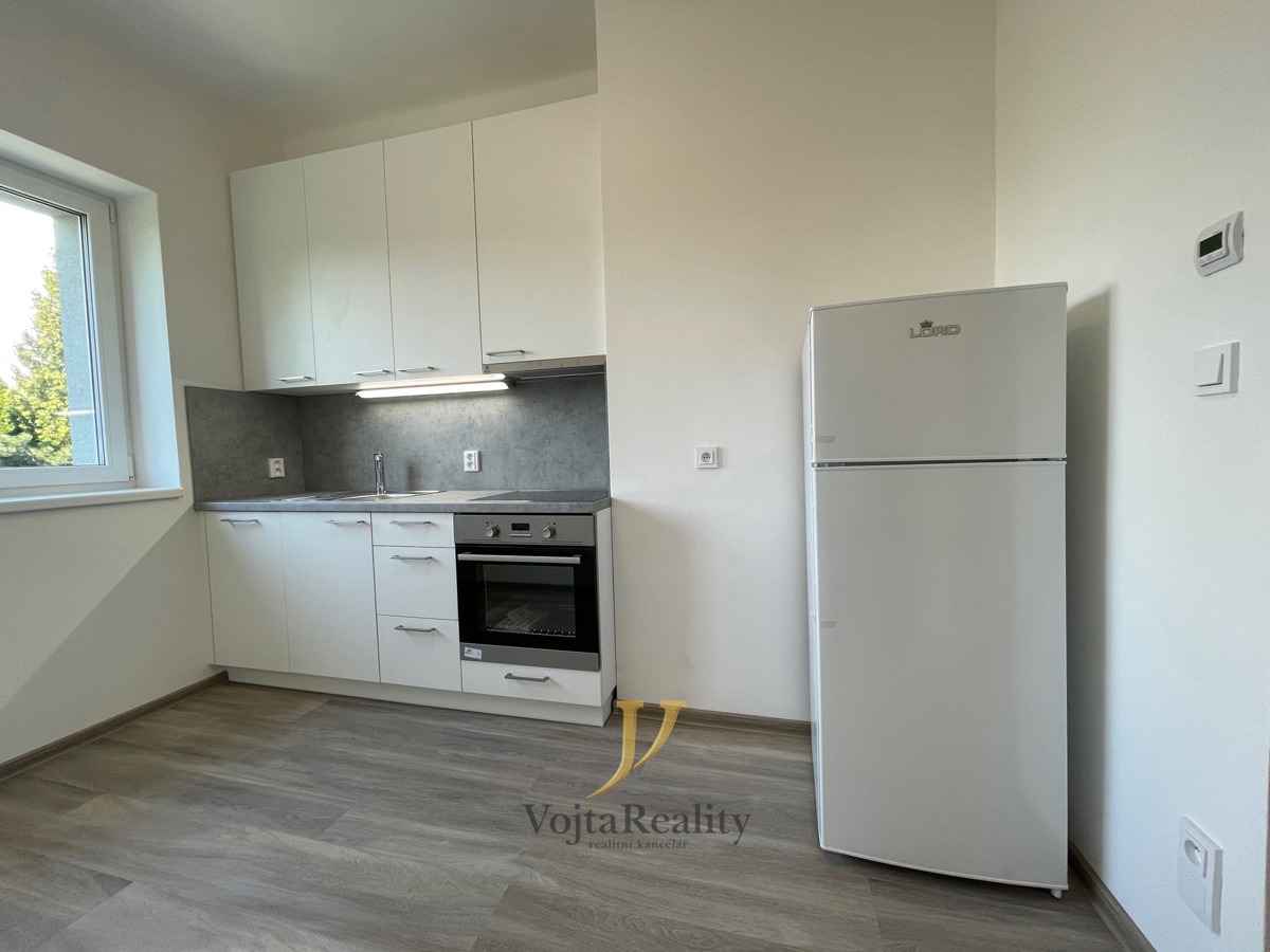 Hình ảnh 1 - Căn hộ cho thuê · 1+1 · 31 m²