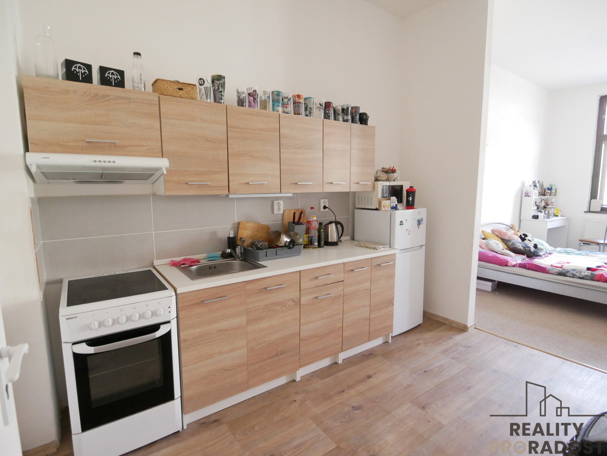 Fotografie 2 - Pronájem bytu · 1+kk · 42 m²