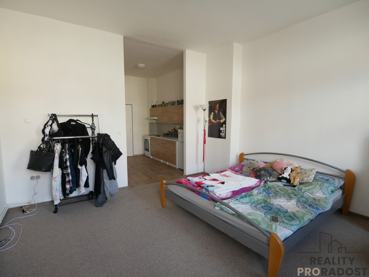 Fotografie 3 - Pronájem bytu · 1+kk · 42 m²