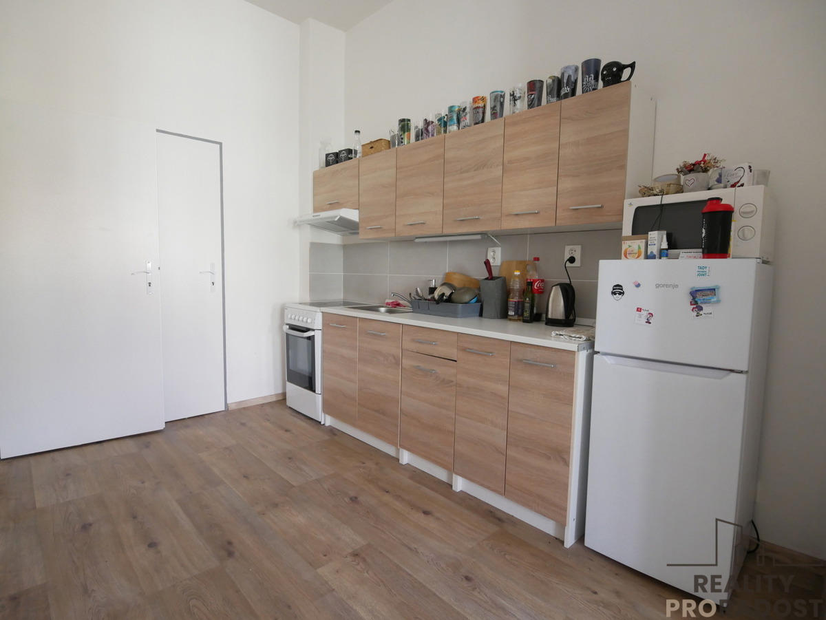 Fotografie 4 - Pronájem bytu · 1+kk · 42 m²