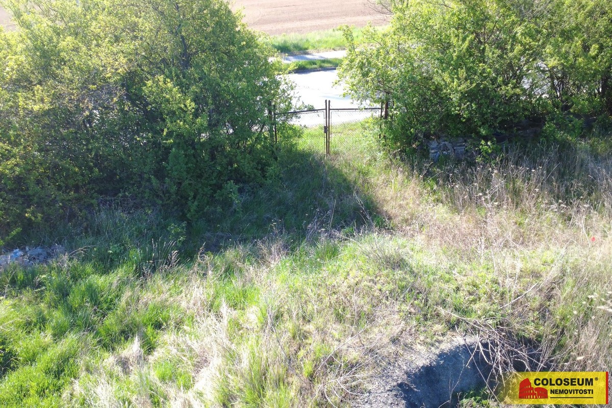 Photo 4 - Land for sale · Garden