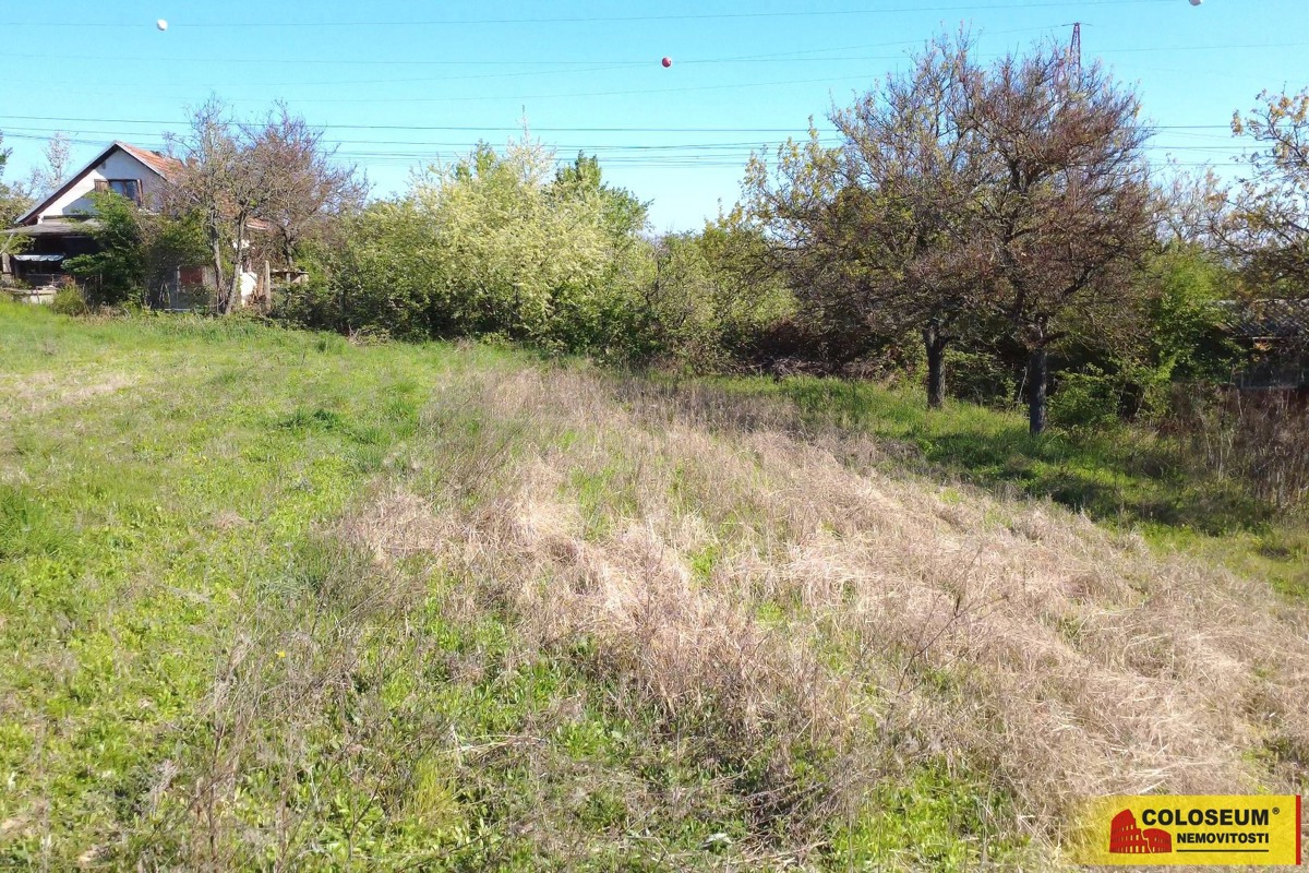 Photo 3 - Land for sale · Garden