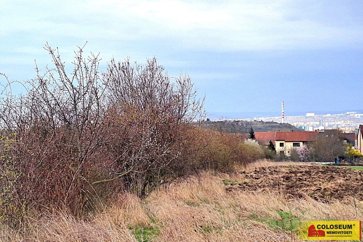 Photo 3 - Land for sale · Garden