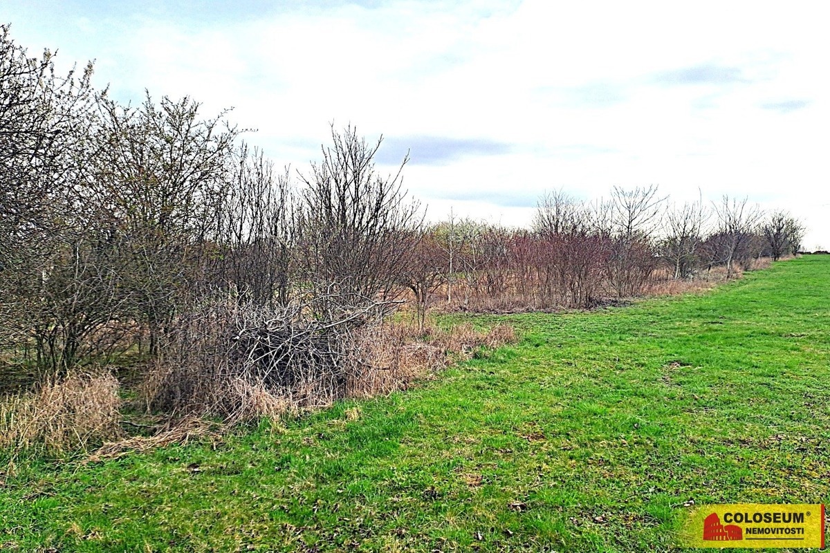 Photo 1 - Land for sale · Garden