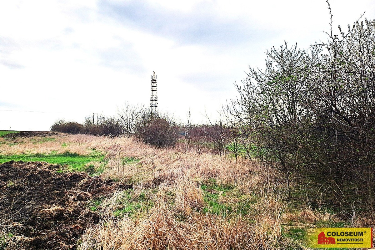 Photo 4 - Land for sale · Garden