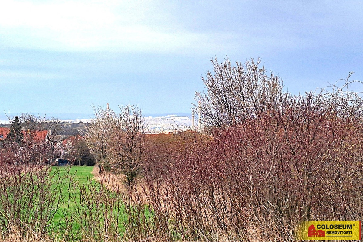 Photo 2 - Land for sale · Garden