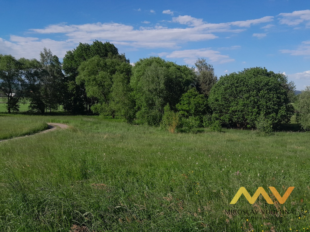 Photo 4 - Land for sale · Meadow