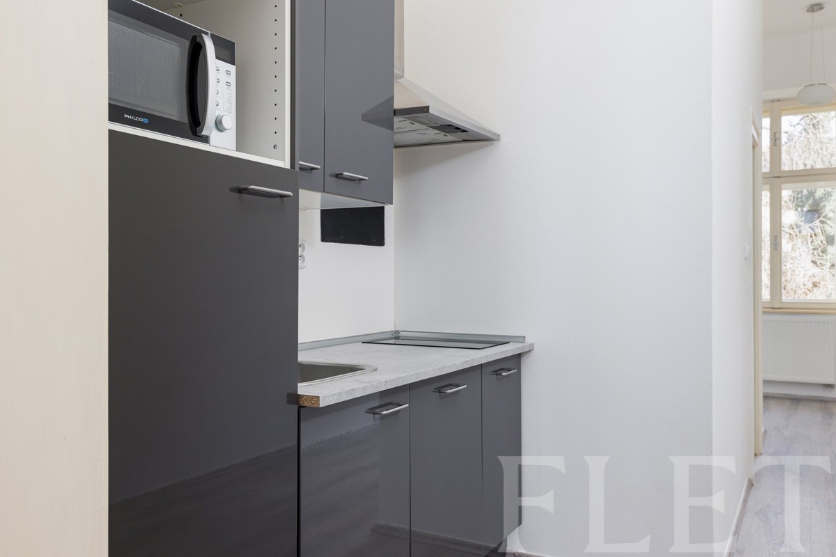 Photo 2 - Apartment for rent · 1+1 · 40 m²