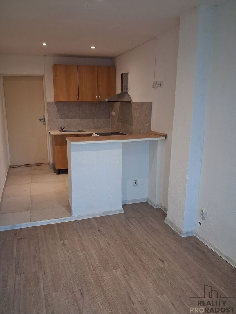 Photo 4 - Apartment for rent · 1+kk · 20 m²