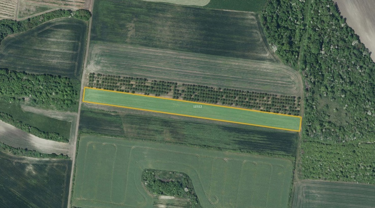 Photo 1 - Land for sale · Field · 8 289 m²