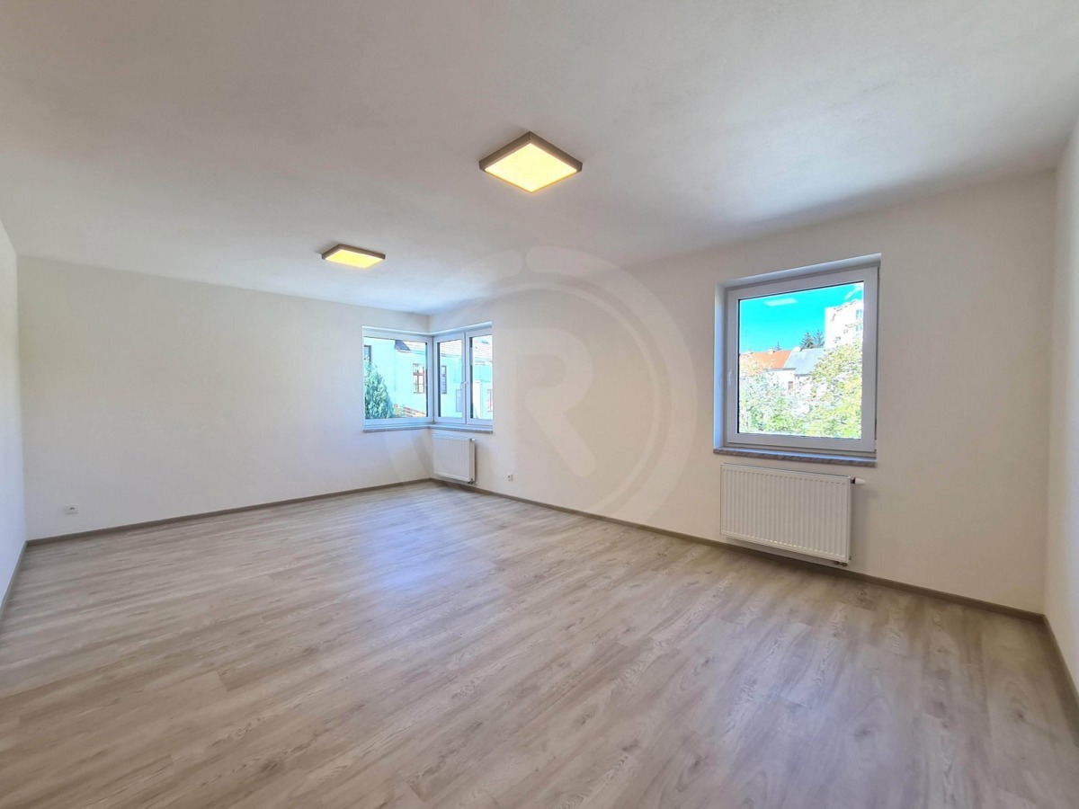 Photo 3 - Apartment for rent · 1+kk · 45 m²