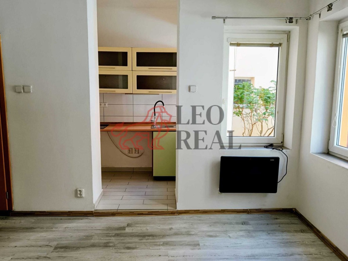 Photo 1 - Apartment for rent · 1+kk · 19 m²