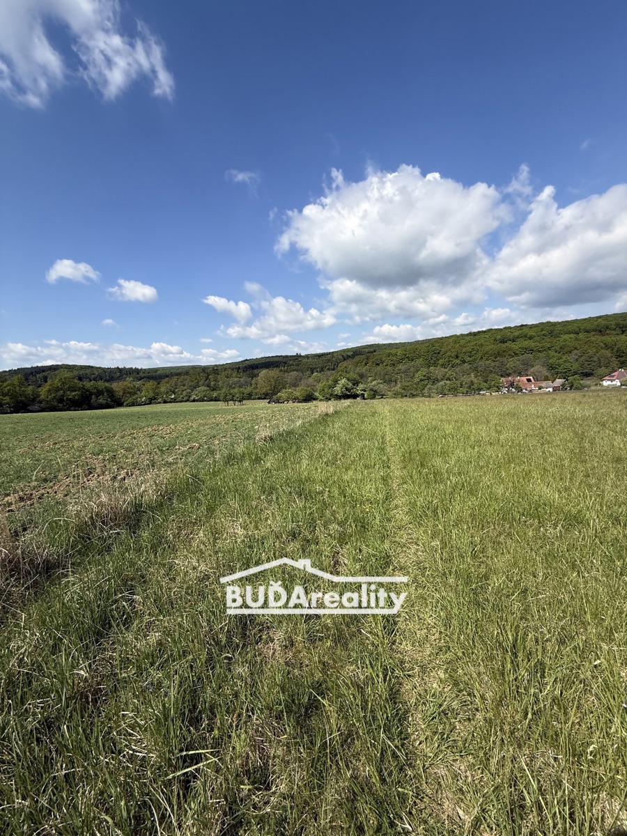 Photo 4 - Land for sale · Field