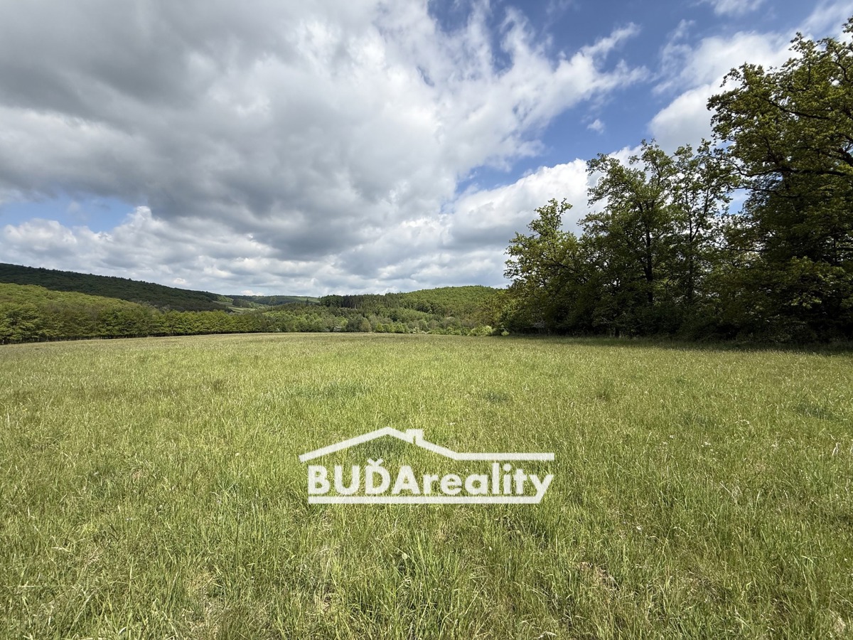 Photo 1 - Land for sale · Field