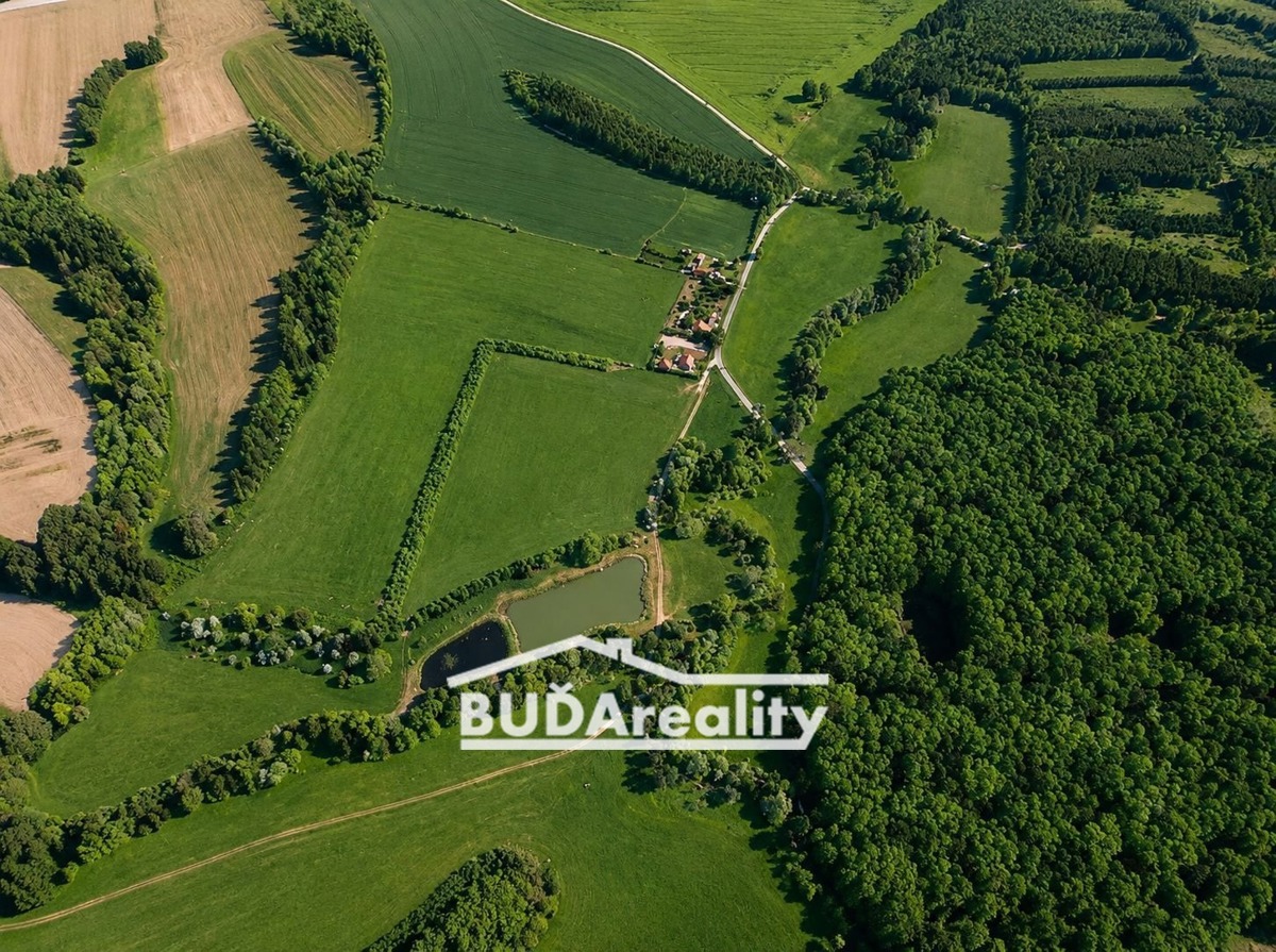 Photo 2 - Land for sale · Field