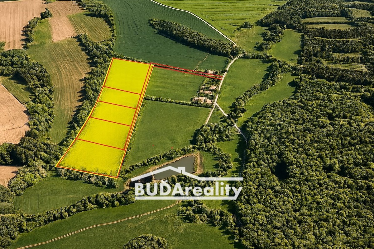Photo 3 - Land for sale · Field