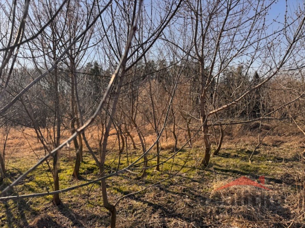 Fotografie 3 - Prodej pozemku · Louka · 7 788 m²