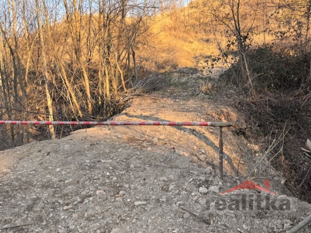 Fotografie 2 - Prodej pozemku · Louka · 7 788 m²